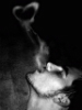 *my7*