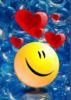 *my1*